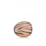 Snøsopp - Slow aging